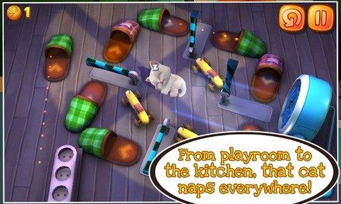 猫猫能玩的游戏_8