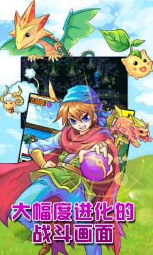 poke白金rom下载_8