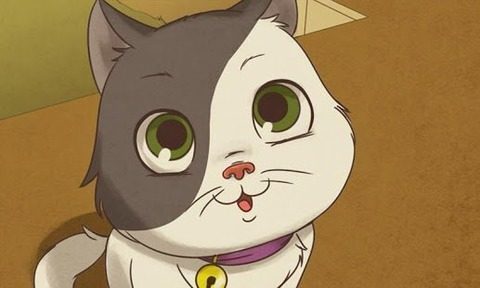 纸盒小猫下载2_6