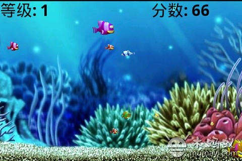 鲨鱼吃鱼能下载_0