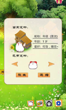 桌面宠物下载安装教程_7