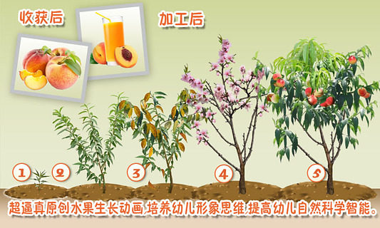 宝宝种蔬菜下载_5