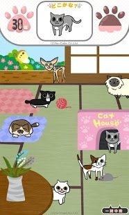 寻找猫咪游戏_8