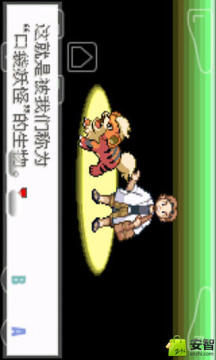 口袋妖怪之极光石下载_7