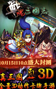 拼战三国志下载_5