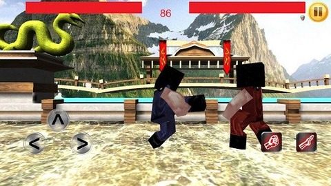 3d功夫游戏_3