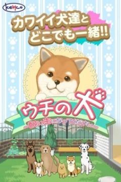 超大型犬排行榜_5