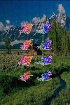我家中华田园犬游戏大全_8
