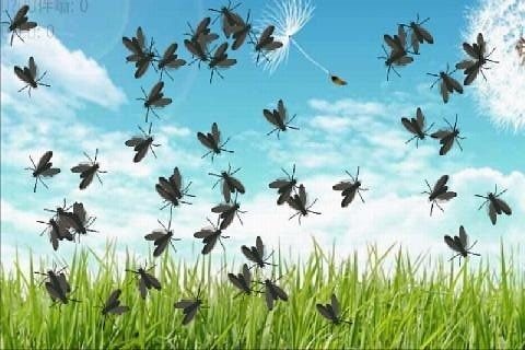 拍蚊子游戏_5