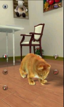 睛天小猫免费下载_7