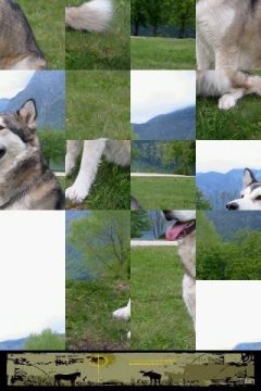 狗狗拼图小游戏_4