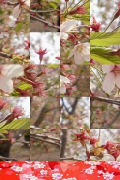 樱桃公主游戏_4
