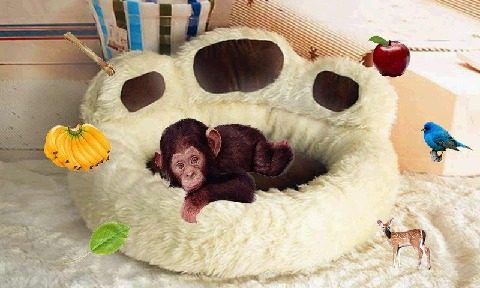 躲猫猫游戏哪个好玩推荐2022_1