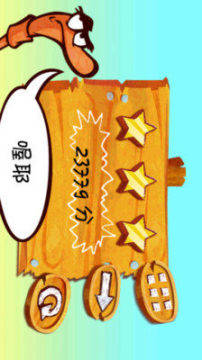 有猪和鸟的游戏叫什么_8