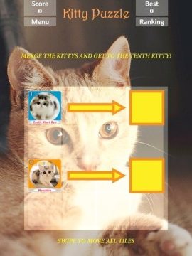 关于猫猫的游戏有哪些_4