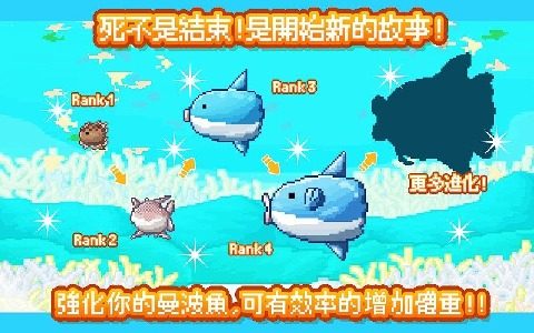 不要再胖下去喇游戏大全_6
