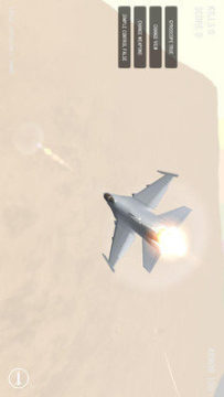 翼装高空跳伞_2