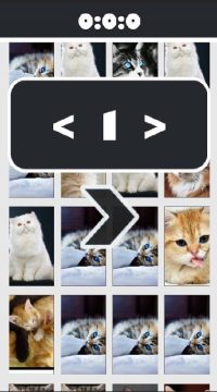离家的猫游戏结局图片_3