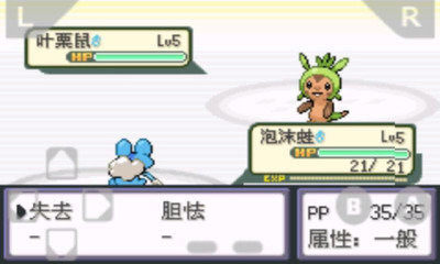 口袋妖怪暗之探险队下载_4