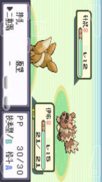 口袋妖怪心魂之羽gba下载_6