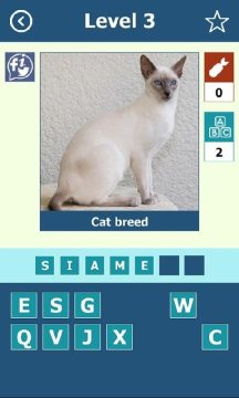 猫品种价格排行_0
