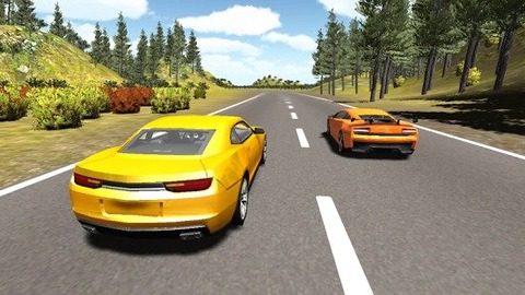3d拉力赛车游戏有哪些_6