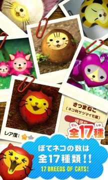 猫声下载_1