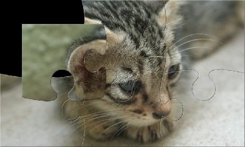 猫咪的毛游戏所有猫_3