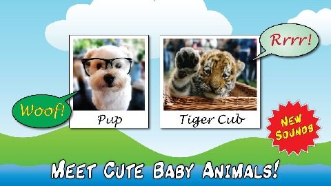 小动物做游戏_9