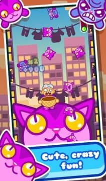 皇家小猫下载安装_6