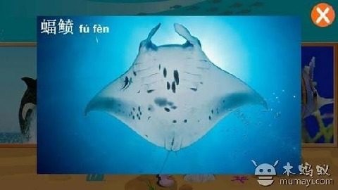 海洋宝宝大冒险下载_1