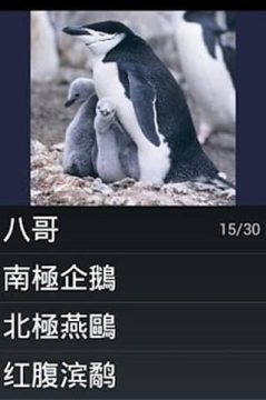 愤怒鸟游戏_2