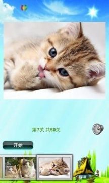 盒子里的猫咪游戏下载_2