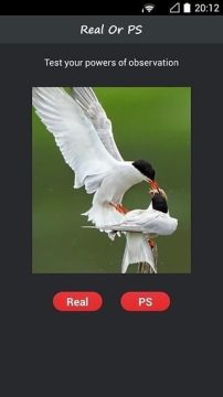 真假悟空游戏_8