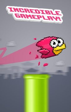 taptapbird_3