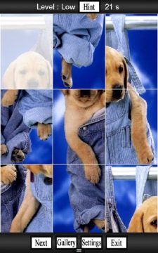 dog游戏大全_5