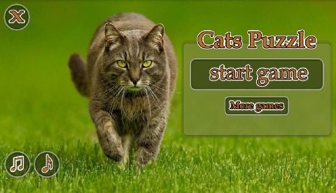 cats下载中文版_1