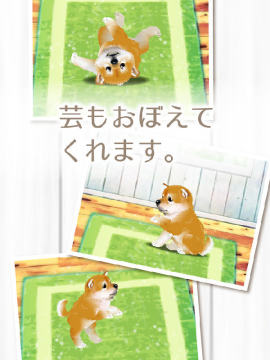 柴犬侠下载_1