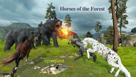 forest下载_4