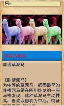 永恒之焱xyz神兽版下载_2