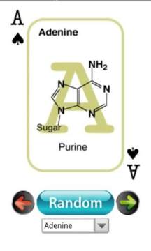 euchre游戏规则_9