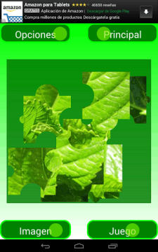 拼图挑战游戏下载_1