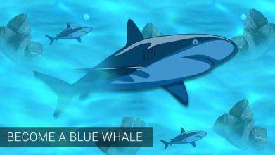 bluewhale下载_9
