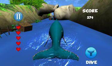 bluewhale下载_2