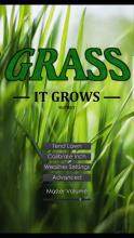 grass下载_0
