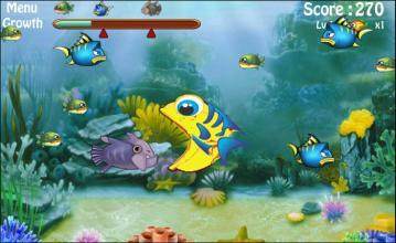 fishybits2下载_5