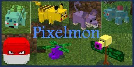 pixelmon下载中文版_2