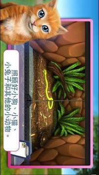 3D我的宠物世界过山丘沙盒子游戏_2