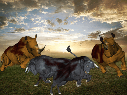 rhino下载_2