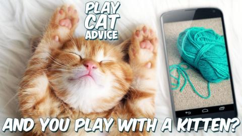 猫玩踩虫子手机游戏_9